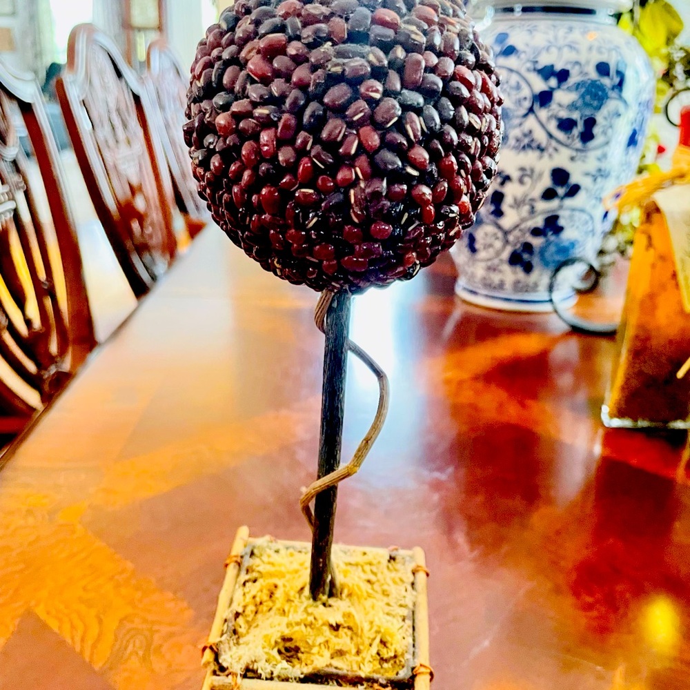 🔥Coffee Bean Topiary, adorable size 10 inches high
